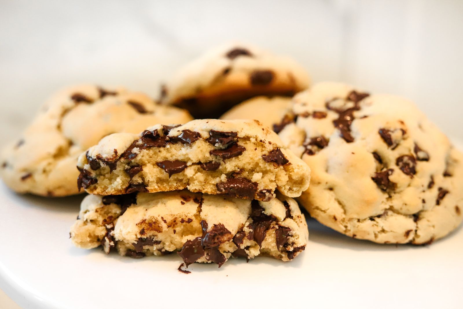 Chocolate Chip